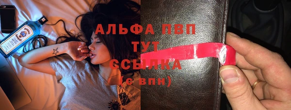 прущие грибы Армянск